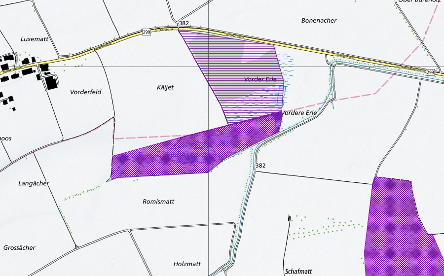 Carte nationale swisstopo avec le périmètre protégé de Birri-Weiher (Site de reproduction de batraciens)