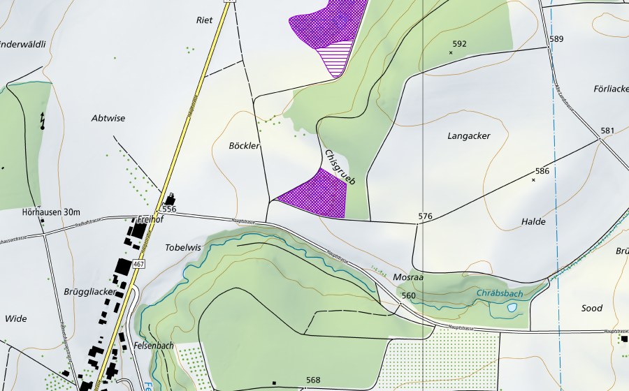 swisstopo national map showing the protected perimeter of Böckler (Amphibian spawning site)