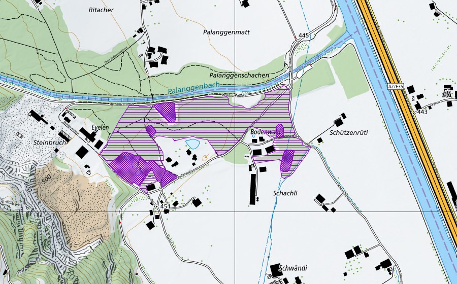 Carta nazionale swisstopo con il perimetro protetto di Bodenwald (Sito di riproduzione di anfibi)