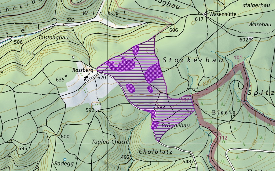 Carta nazionale swisstopo con il perimetro protetto di Bohnerzgruben Stockerhau (Sito di riproduzione di anfibi)