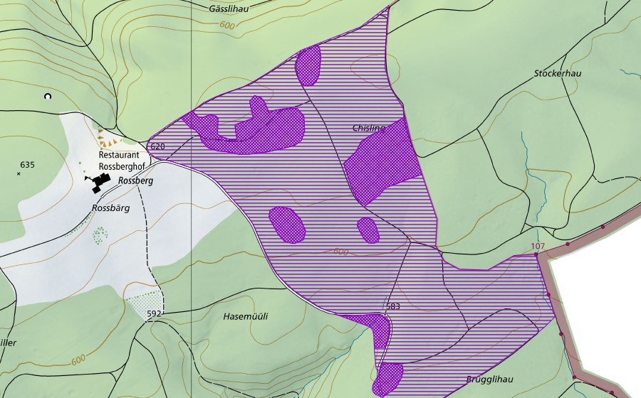 Carte nationale swisstopo avec le périmètre protégé de Bohnerzgruben Stockerhau (Site de reproduction de batraciens)