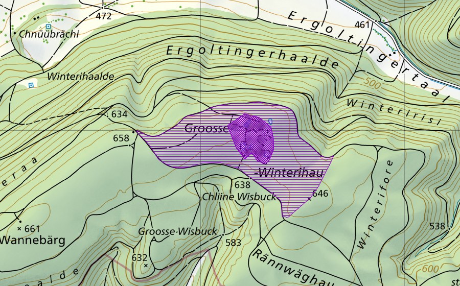 Landeskarte swisstopo mit dem Schutzperimeter von Bohnerzlöcher Winterihau (Amphibienlaichgebiet)