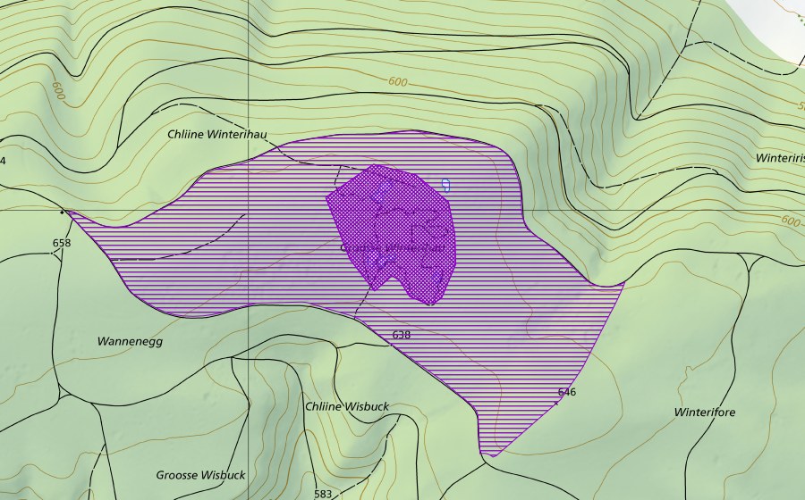 Landeskarte swisstopo mit dem Schutzperimeter von Bohnerzlöcher Winterihau (Amphibienlaichgebiet)