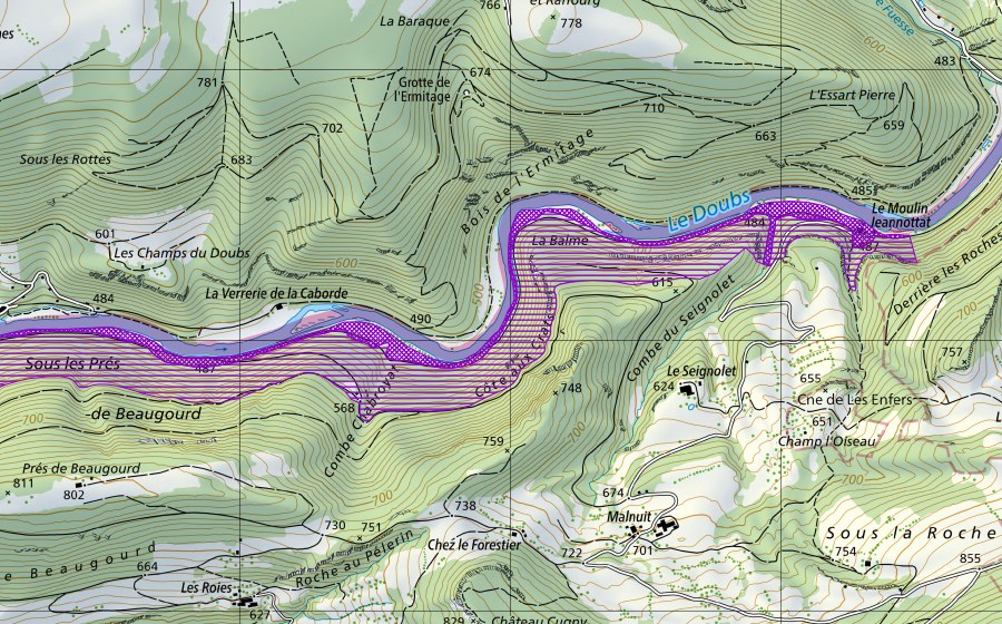 swisstopo national map showing the protected perimeter of Bois Banal-Moulin Jeannotat (Amphibian spawning site)