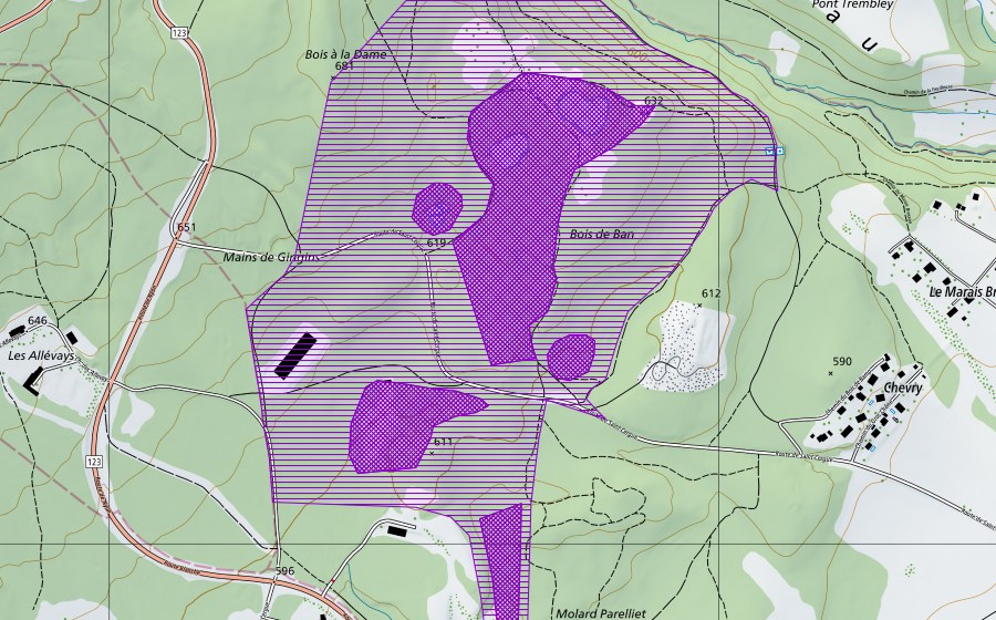 swisstopo national map showing the protected perimeter of Bois de Ban (Amphibian spawning site)