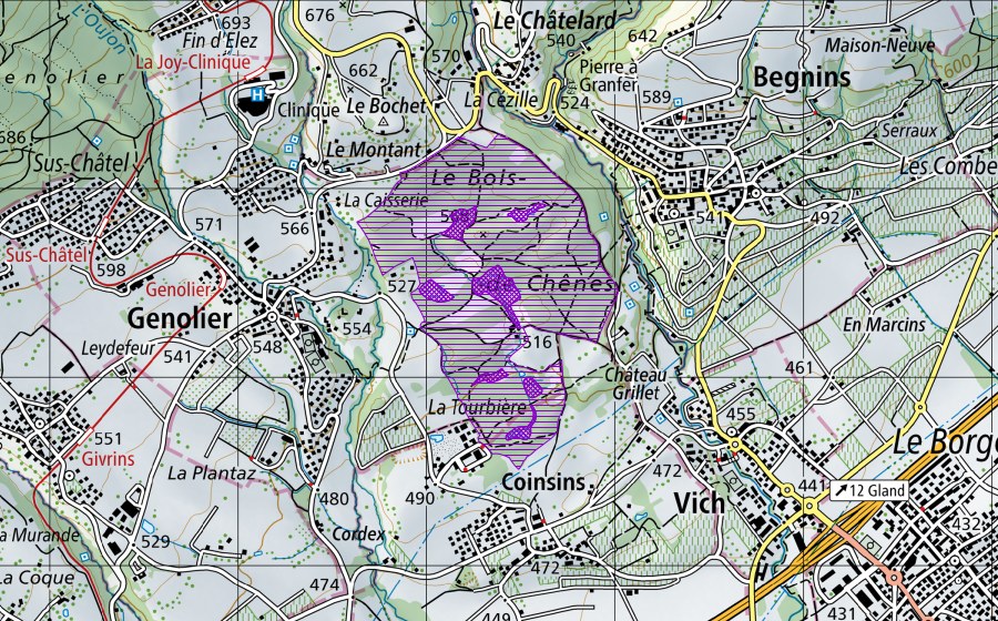 Landeskarte swisstopo mit dem Schutzperimeter von Bois de Chênes, Lac Vert (Amphibienlaichgebiet)