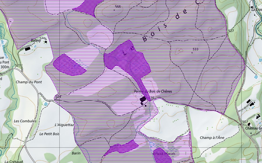 Carte nationale swisstopo avec le périmètre protégé de Bois de Chênes, Lac Vert (Site de reproduction de batraciens)