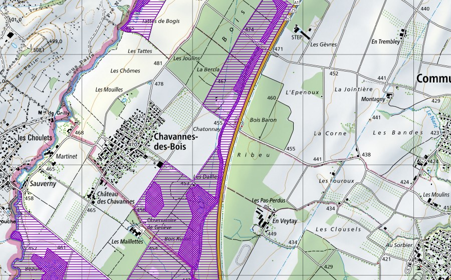 Carta nazionale swisstopo con il perimetro protetto di Bois de Porte, Les Dailles (Sito di riproduzione di anfibi)