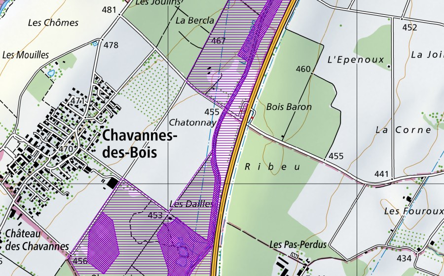 Landeskarte swisstopo mit dem Schutzperimeter von Bois de Porte, Les Dailles (Amphibienlaichgebiet)