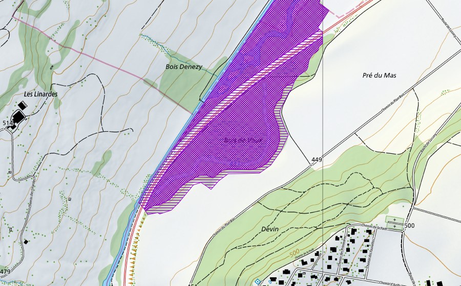 Carte nationale swisstopo avec le périmètre protégé de Bois de Vaux (Site de reproduction de batraciens)