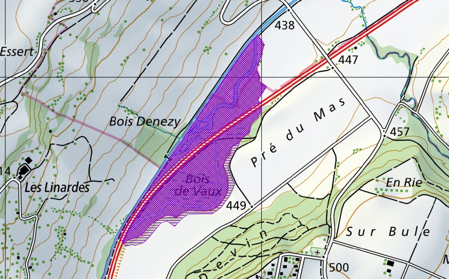 Carta nazionale swisstopo con il perimetro protetto di Bois de Vaux (Sito di riproduzione di anfibi)