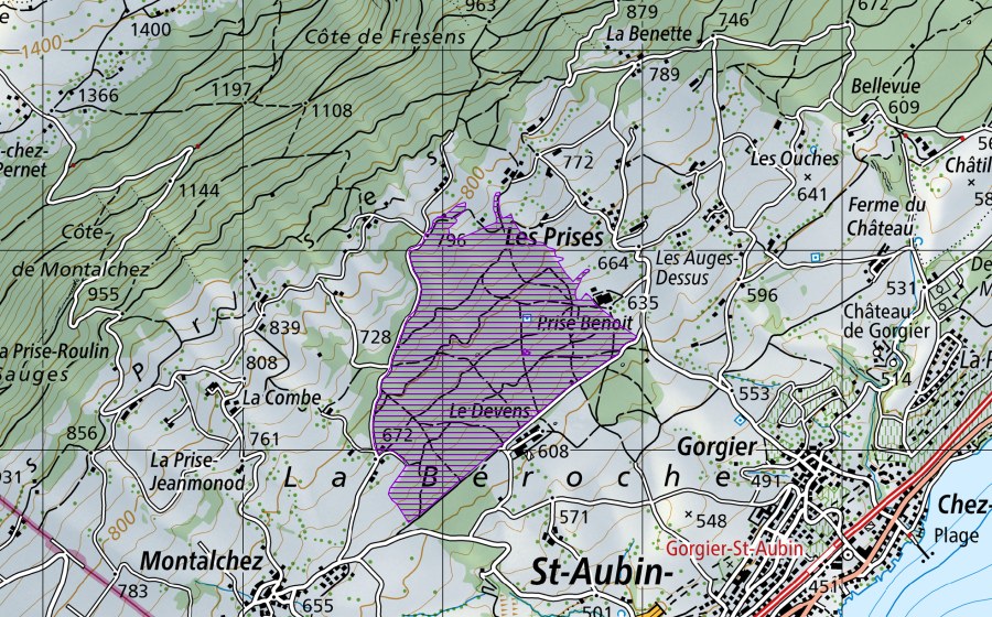 swisstopo national map showing the protected perimeter of Bois du Devens (Amphibian spawning site)