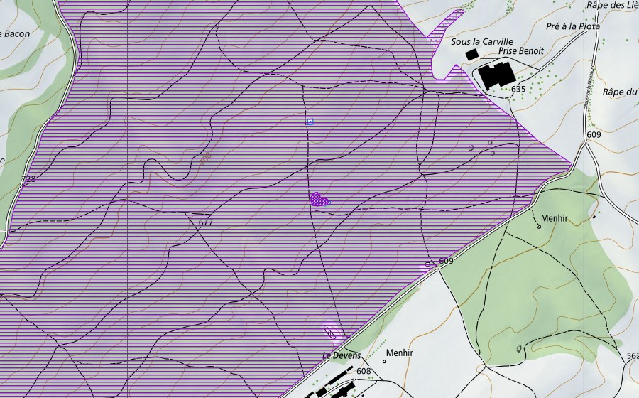 Landeskarte swisstopo mit dem Schutzperimeter von Bois du Devens (Amphibienlaichgebiet)