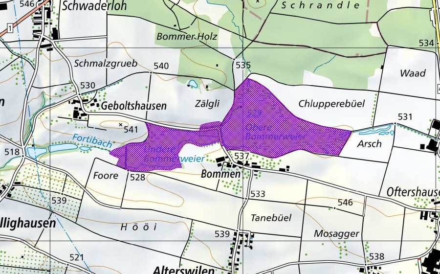 Landeskarte swisstopo mit dem Schutzperimeter von Bommer Weiher (Amphibienlaichgebiet)