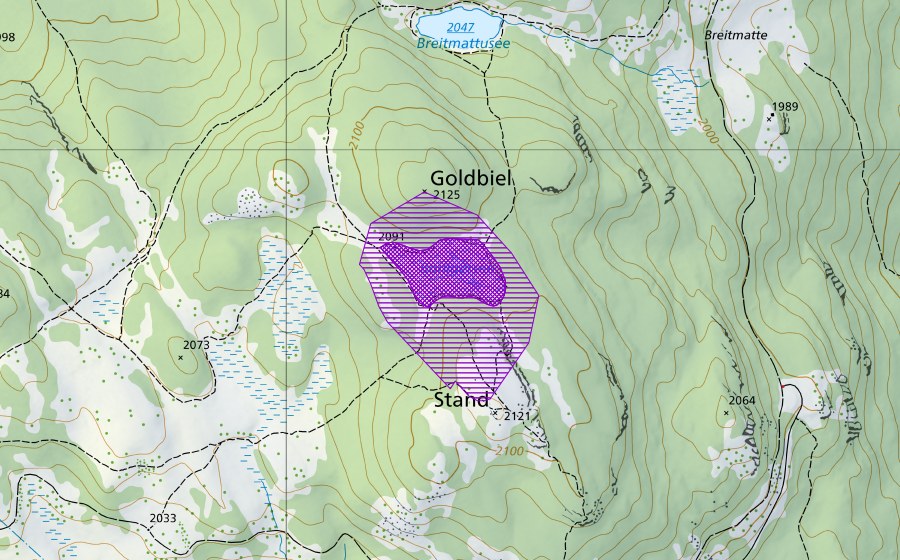 swisstopo national map showing the protected perimeter of Bonigersee (Amphibian spawning site)