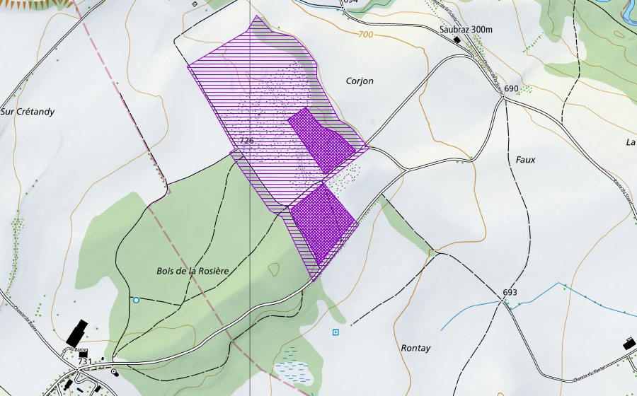 Landeskarte swisstopo mit dem Schutzperimeter von Borire, Corjon (Amphibienlaichgebiet)
