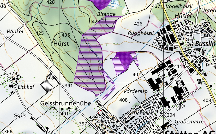 Landeskarte swisstopo mit dem Schutzperimeter von Bösimoos (Amphibienlaichgebiet)