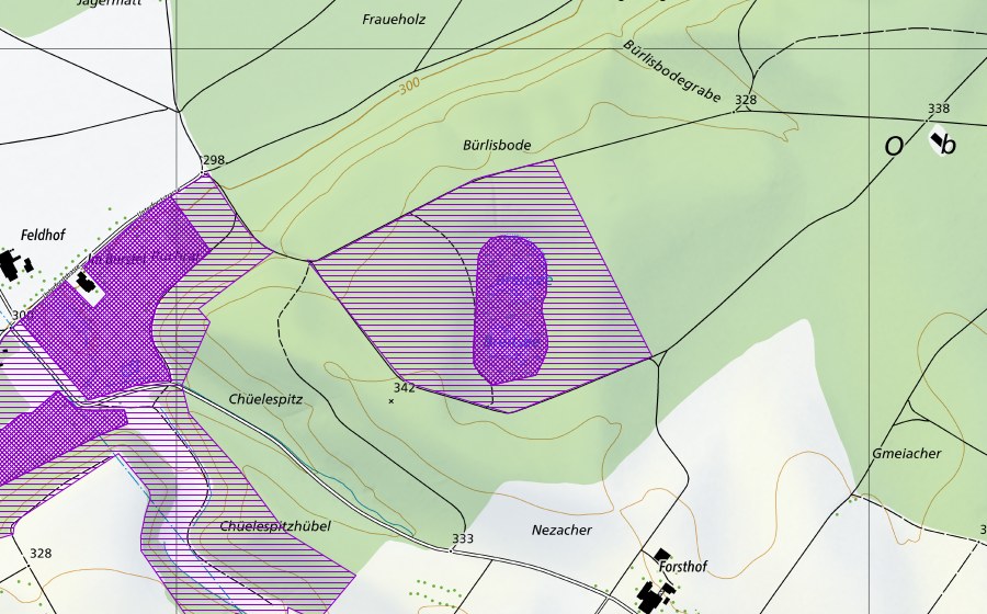 Landeskarte swisstopo mit dem Schutzperimeter von Breitsee (Amphibienlaichgebiet)