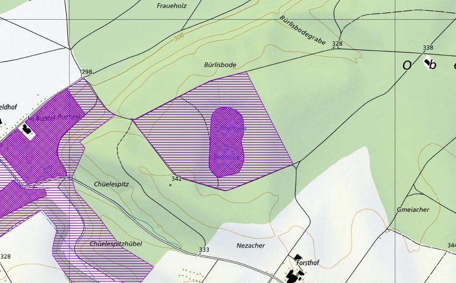 swisstopo national map showing the protected perimeter of Breitsee (Amphibian spawning site)