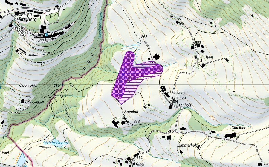 Carte nationale swisstopo avec le périmètre protégé de Briggisweiher N Auenhof (Site de reproduction de batraciens)