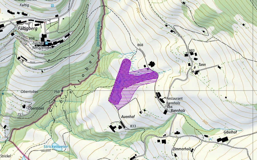swisstopo national map showing the protected perimeter of Briggisweiher N Auenhof (Amphibian spawning site)