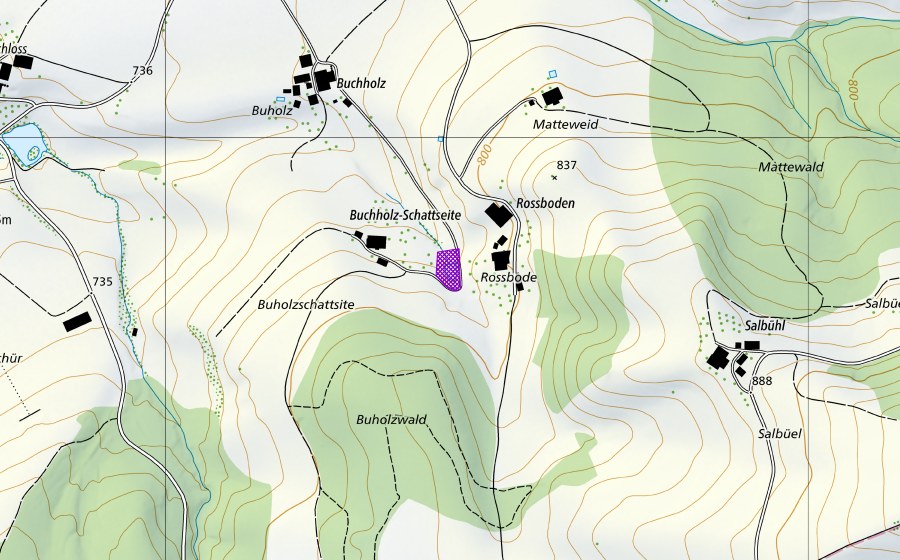 Carte nationale swisstopo avec le périmètre protégé de Buechholz Weiher (Site de reproduction de batraciens)