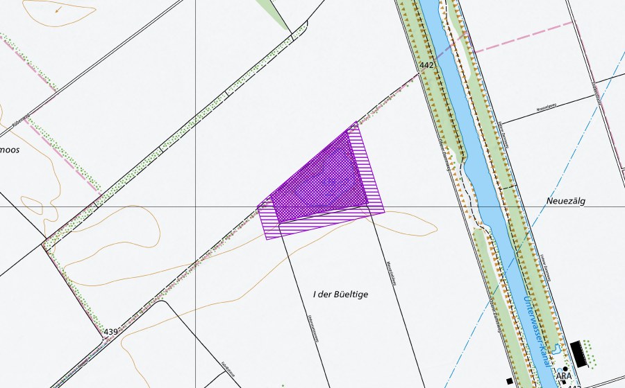 Landeskarte swisstopo mit dem Schutzperimeter von Büeltigen-Weiher (Amphibienlaichgebiet)