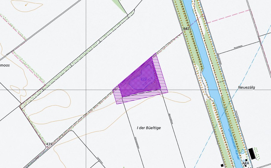 swisstopo national map showing the protected perimeter of Büeltigen-Weiher (Amphibian spawning site)