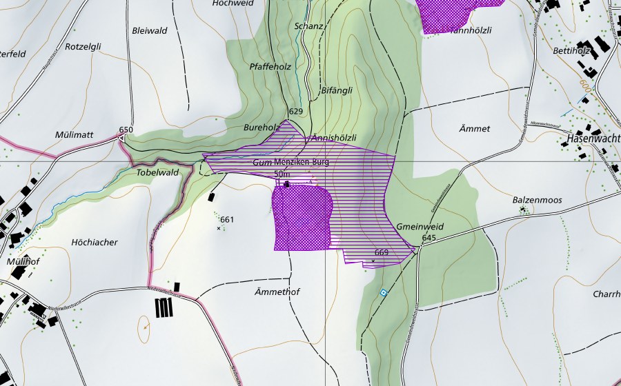 Landeskarte swisstopo mit dem Schutzperimeter von Burgergrube (Amphibienlaichgebiet)