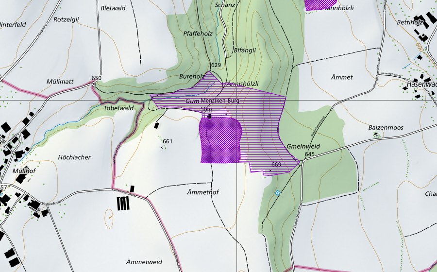 Landeskarte swisstopo mit dem Schutzperimeter von Burgergrube (Amphibienlaichgebiet)