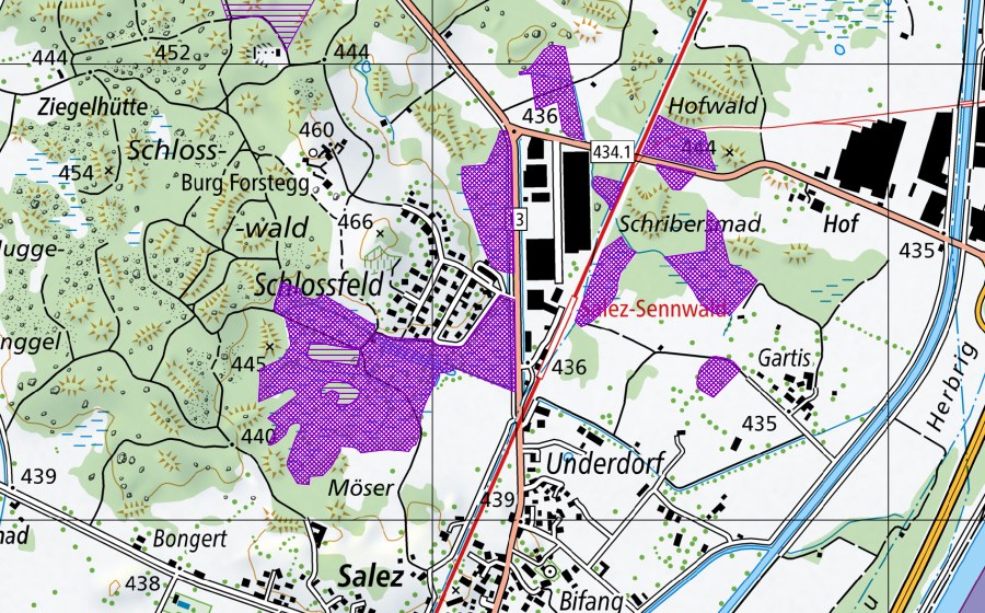 Landeskarte swisstopo mit dem Schutzperimeter von Burstried, Galgenmad (Amphibienlaichgebiet)