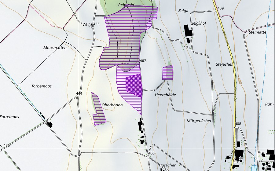 Carte nationale swisstopo avec le périmètre protégé de Butzenmoos (Site de reproduction de batraciens)