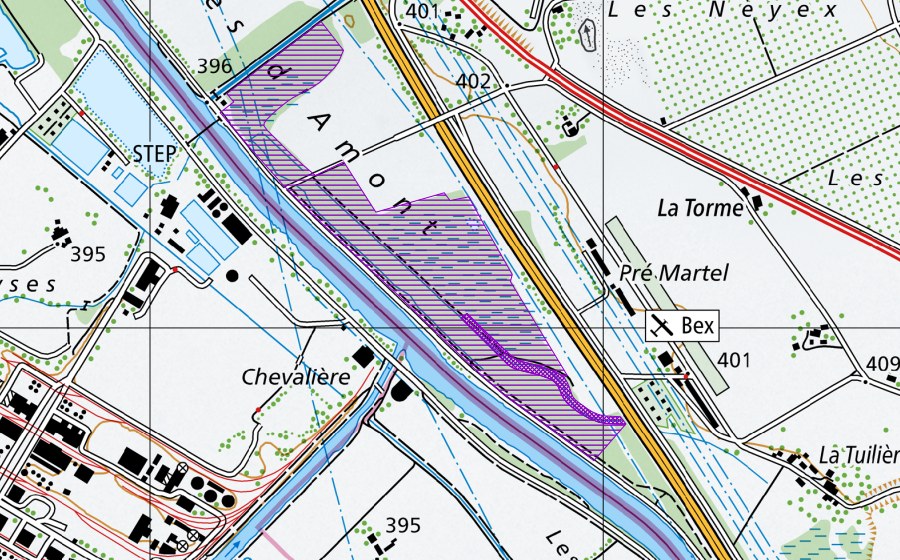 Carta nazionale swisstopo con il perimetro protetto di Canal de la Tuilière (Sito di riproduzione di anfibi)