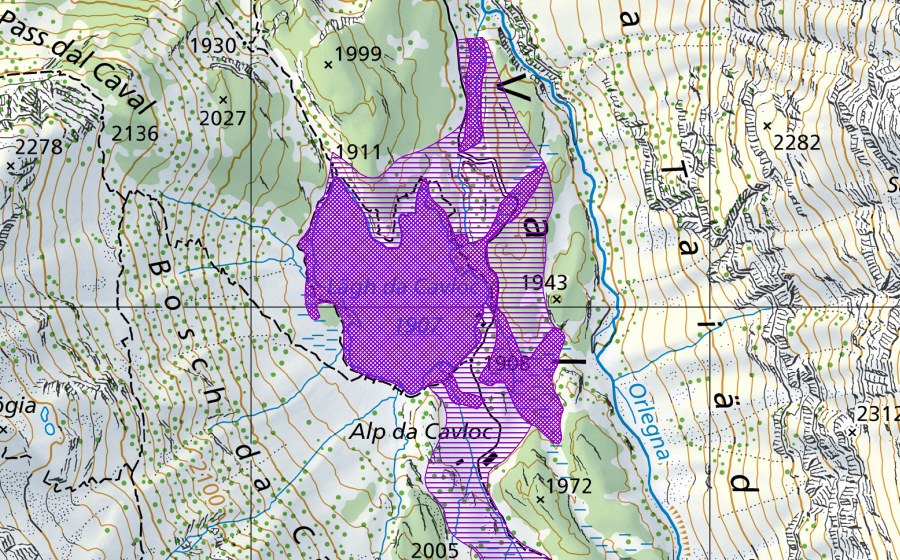 swisstopo national map showing the protected perimeter of Cavloc (Amphibian spawning site)