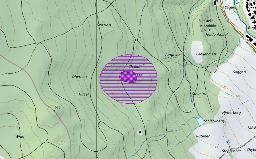 Landeskarte swisstopo mit dem Schutzperimeter von Chalofe (Amphibienlaichgebiet)