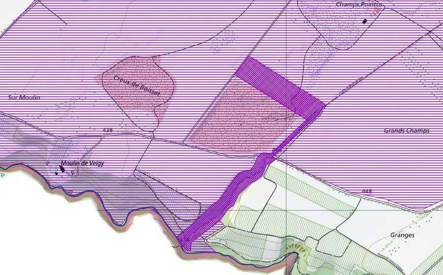 Landeskarte swisstopo mit dem Schutzperimeter von Champs Grillet (Amphibienlaichgebiet)