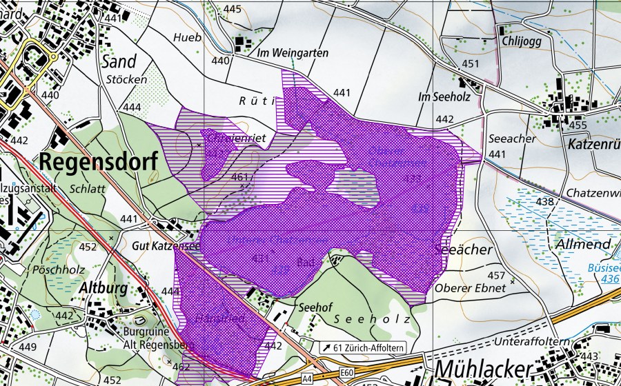 Carte nationale swisstopo avec le périmètre protégé de Chatzensee, Chräenriet (Site de reproduction de batraciens)
