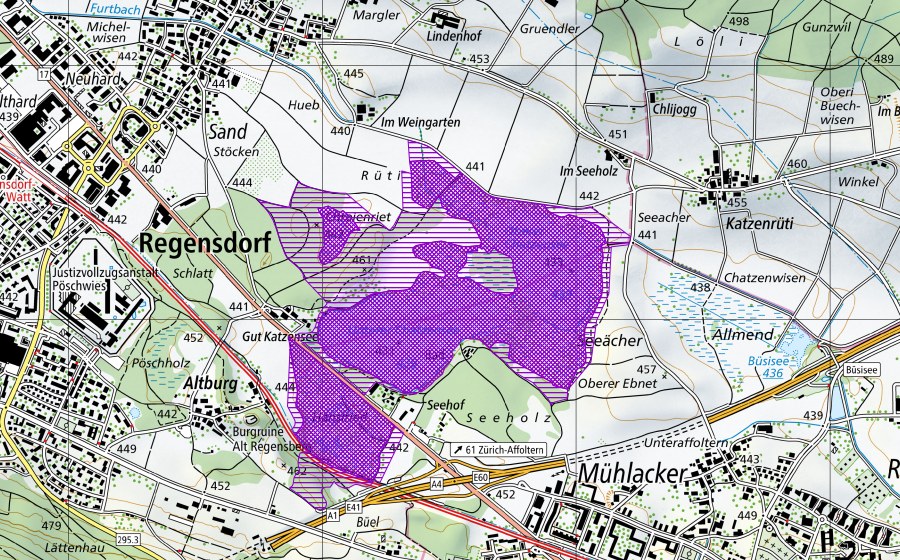 swisstopo national map showing the protected perimeter of Chatzensee, Chräenriet (Amphibian spawning site)
