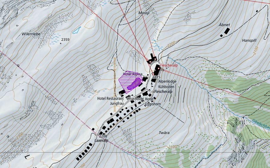 swisstopo national map showing the protected perimeter of Chiebodenstafel (Amphibian spawning site)