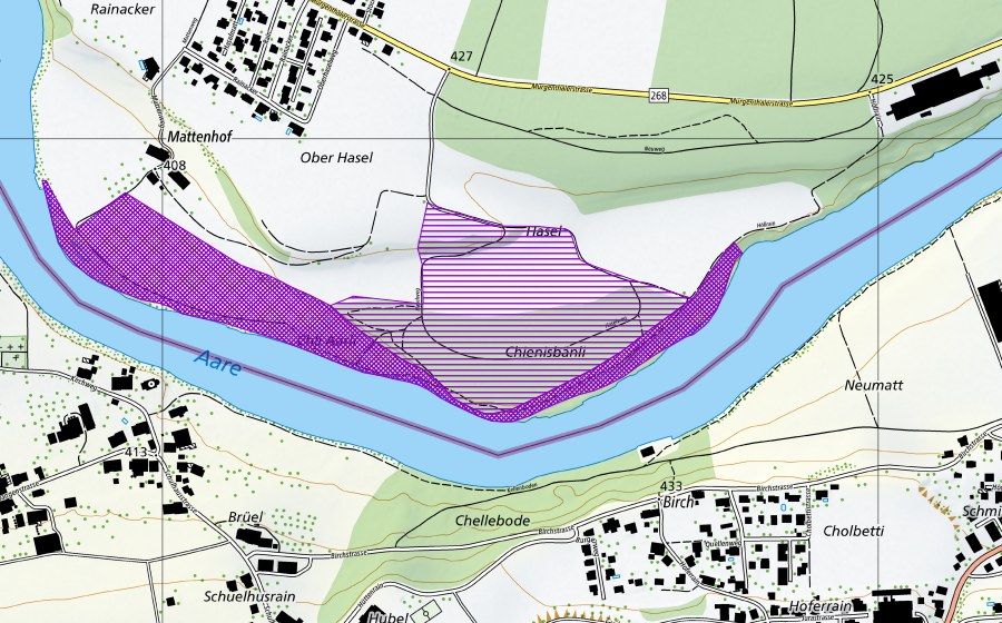 swisstopo national map showing the protected perimeter of Chli Aarli (Amphibian spawning site)