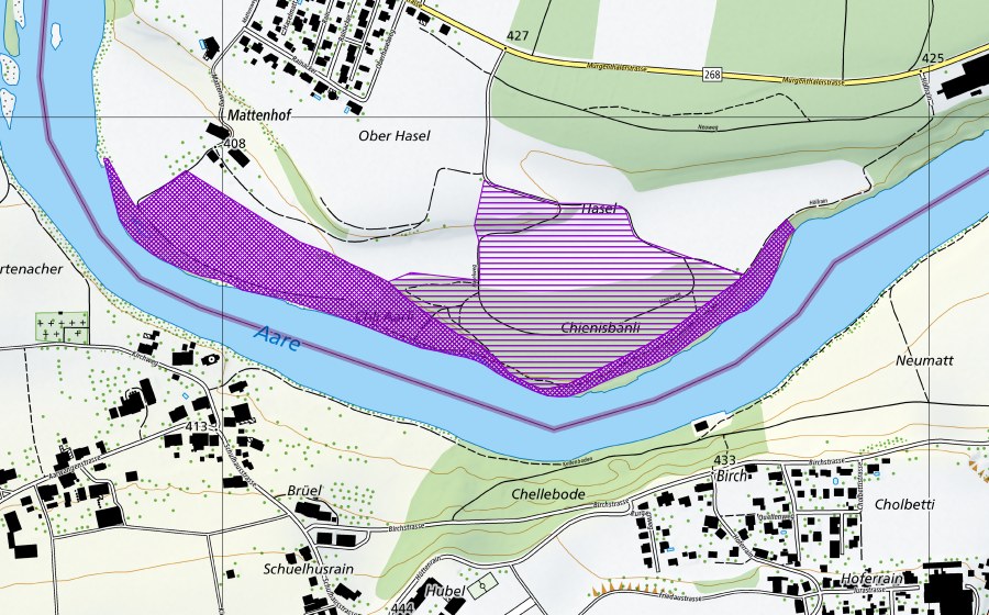swisstopo national map showing the protected perimeter of Chli Aarli (Amphibian spawning site)