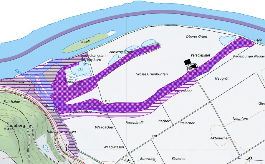 Landeskarte swisstopo mit dem Schutzperimeter von Chli Rhy (Amphibienlaichgebiet)