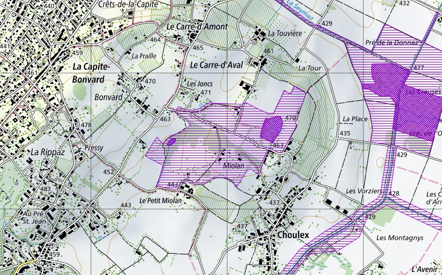 Carte nationale swisstopo avec le périmètre protégé de Choulex (Site de reproduction de batraciens)