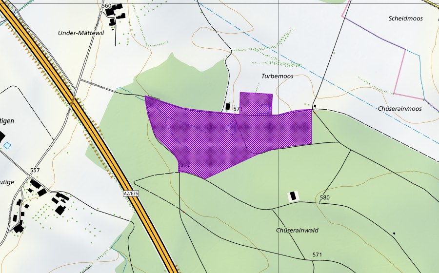 Landeskarte swisstopo mit dem Schutzperimeter von Chüsenrainwald (Amphibienlaichgebiet)