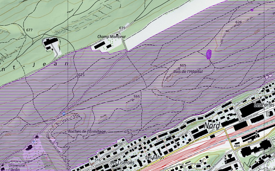 Landeskarte swisstopo mit dem Schutzperimeter von Combacervey (Amphibienlaichgebiet)