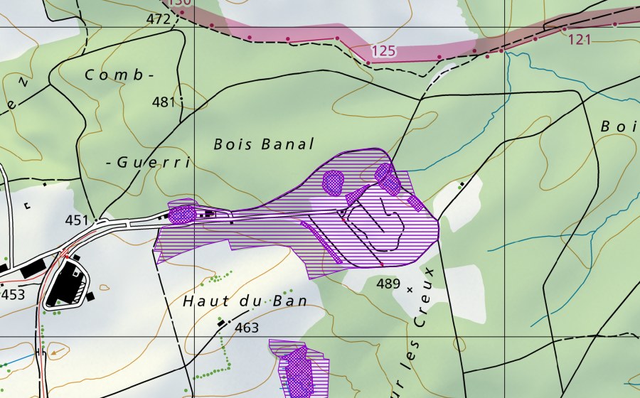Carte nationale swisstopo avec le périmètre protégé de Combe Guerri (Site de reproduction de batraciens)