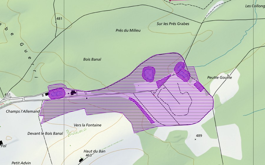 swisstopo national map showing the protected perimeter of Combe Guerri (Amphibian spawning site)