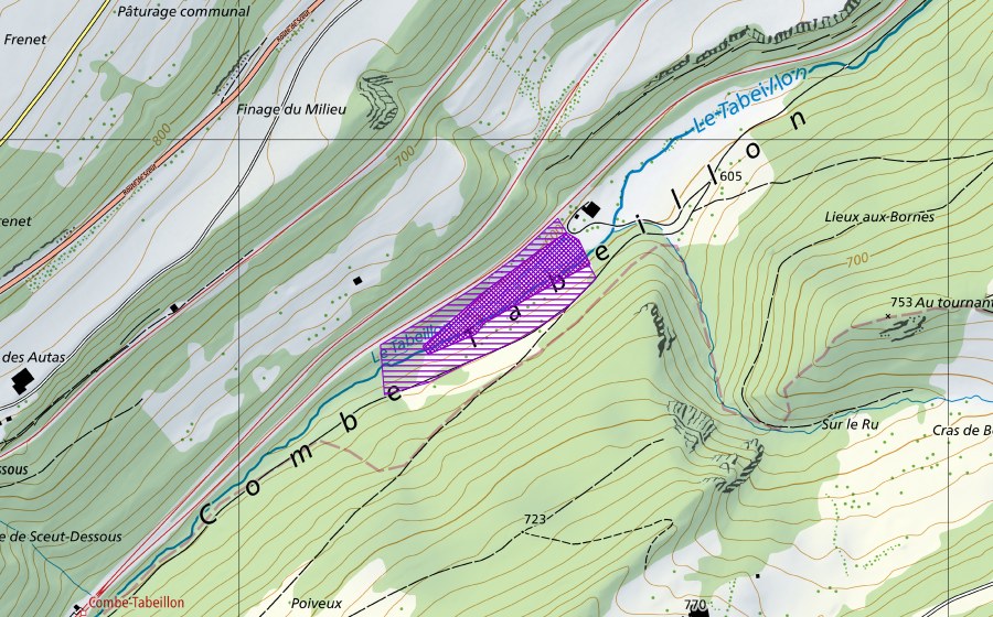Carte nationale swisstopo avec le périmètre protégé de Combe Tabeillon (Site de reproduction de batraciens)