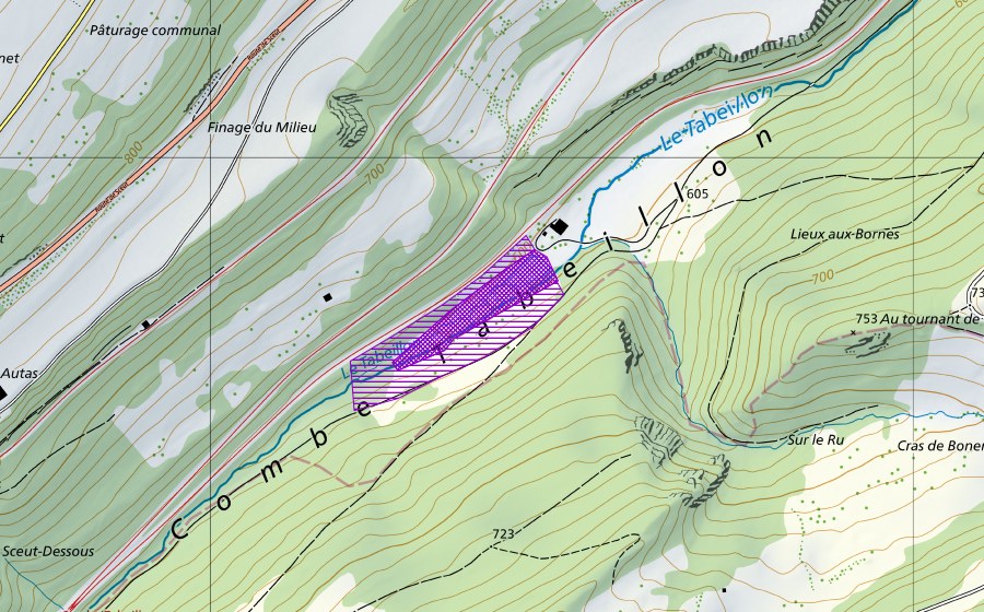 Landeskarte swisstopo mit dem Schutzperimeter von Combe Tabeillon (Amphibienlaichgebiet)