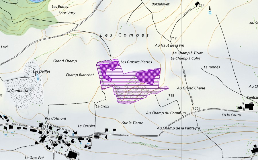 Carte nationale swisstopo avec le périmètre protégé de Contramont (Site de reproduction de batraciens)